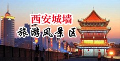 黄色操逼内射视频中国陕西-西安城墙旅游风景区
