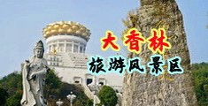 大鸡扒操操操夜间视频中国浙江-绍兴大香林旅游风景区
